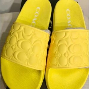 Coach Slides Never Worn! Excellent New Condition! Box included!